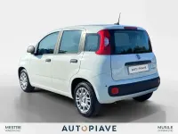 Usata Fiat Panda S 69 CV (50 kW) 2025 Bianco Utilitaria