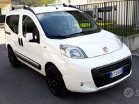 usata Fiat Qubo trekking