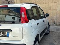 Usata Fiat Panda 70 CV (51 kW) 2014 Bianco Utilitaria