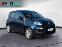 Usata Fiat Panda Easy 70 CV (51 kW) 2020 Blu Utilitaria