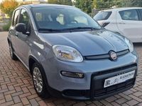 Usata Fiat Panda Easy 69 CV (50 kW) 2022 Grigio Utilitaria
