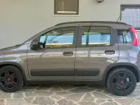 Usata Fiat Panda S 69 CV (50 kW) 2022 Giallo Utilitaria
