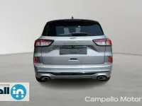 Usata Ford Kuga ST-Line 120 CV (88 kW) 2024 Grigio medio met. SUV