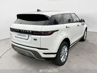 Usata Land Rover Range Rover evoque 163 CV (119 kW) 2021 Bianco SUV