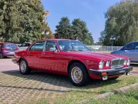 Usata Jaguar XJ12 284 CV (208 kW) 1979 Berlina