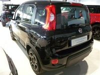 usata Fiat Panda Cross 1.0 FireFly S&S Hybrid City usato