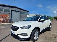 Usata Opel Grandland X Business 131 CV (96 kW) 2019 SUV