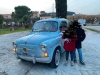 Usata Fiat 600D 54 CV (39 kW) 2026 Blu/azzurro Berlina