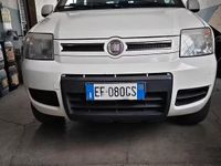Usata Fiat Panda 4x4 69 CV (50 kW) 2010 Bianco Utilitaria
