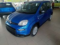 usata Fiat Panda Panda1.0 firefly hybrid s