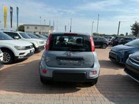 Usata Fiat Panda S 70 CV (51 kW) 2022 Blu Utilitaria