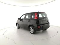 usata Fiat Panda 1.0 FireFly S&S Hybrid nuovo