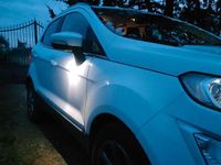 Usata Ford Ecosport 2019 Bianco SUV