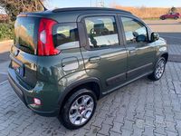 Usata Fiat Panda 4x4 S 74 CV (54 kW) 2014 Verde Utilitaria