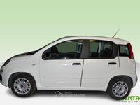 Usata Fiat Panda 70 CV (51 kW) 2021 Utilitaria