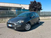Usata Fiat Punto Lounge 69 CV (50 kW) 2014 Grigio Utilitaria