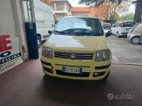 Usata Fiat Panda Dynamic 60 CV (44 kW) 2009 Giallo Utilitaria