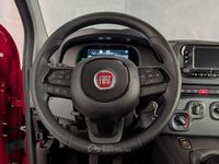 Nuova Fiat Panda Icon 94 CV (69 kW) 2025 Rosso Utilitaria