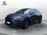 Usata Lexus NX300 Luxury Line 309 CV (227 kW) 2023 Grigio SUV