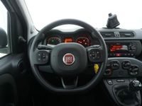 usata Fiat Panda Easy Natural Power