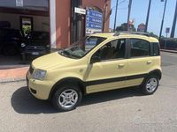 Usata Fiat Panda 4x4 Climbing 60 CV (44 kW) 2007 Giallo Utilitaria