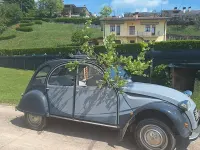 Usata Citroën 2CV Charleston 29 CV (21 kW) 1987 Grigio Berlina