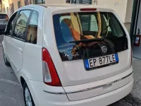Usata Lancia Musa 77 CV (56 kW) 2012 Bianco Monovolume