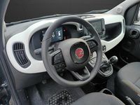 Usata Fiat Panda S 70 CV (51 kW) 2025 Verde Berlina