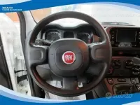 Usata Fiat Panda 69 CV (50 kW) 2024 Bianco Utilitaria