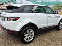 usata Land Rover Range Rover evoque 2.2 TD4 5p. Pure Auto AWD