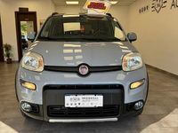 Usata Fiat Panda 4x4 S 95 CV (69 kW) 2018 Grigio Utilitaria