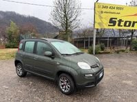 Usata Fiat Panda 4x4 S 86 CV (63 kW) 2020 Verde Utilitaria