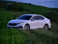 Usata Skoda Octavia Style 116 CV (85 kW) 2021 Bianco Berlina