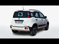 Usata Fiat Panda Cross Cross 70 CV (51 kW) 2020 Bianco Utilitaria