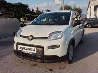 Usata Fiat Panda S 69 CV (50 kW) 2025 Bianco Utilitaria