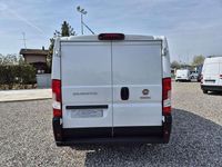 Usata Fiat Ducato 120 CV (88 kW) 2021 Bianco Furgone