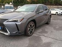 Usata Lexus UX 250h 184 CV (135 kW) 2021 Grigio SUV