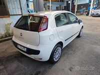 Usata Fiat Punto Evo Dynamic 69 CV (50 kW) 2011 Bianco Utilitaria