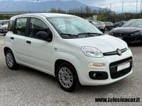 Usata Fiat Panda 2018 Bianco Utilitaria
