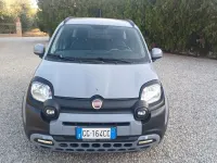 Usata Fiat Panda Cross Cross 69 CV (50 kW) 2021 Grigio Utilitaria
