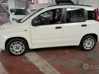 Usata Fiat Panda Lounge 75 CV (55 kW) 2014 Bianco Utilitaria
