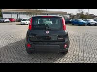 usata Fiat Panda 2ª serie NUOVA My24 1.0 70cv Hybrid