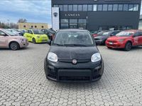 usata Fiat Panda Panda NUOVA My23 1.2 69cv EasypowerGpl