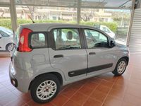 Usata Fiat Panda Easy 69 CV (50 kW) 2019 Grigio Utilitaria