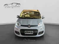 Usata Fiat Panda Lounge 69 CV (50 kW) 2020 Gray Utilitaria