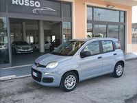 Usata Fiat Panda Easy 69 CV (50 kW) 2020 Grigio Utilitaria