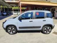 Usata Fiat Panda Launch Edition 69 CV (50 kW) 2020 Grigio Utilitaria
