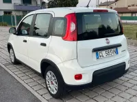 Usata Fiat Panda S 69 CV (50 kW) 2022 Bianco Utilitaria