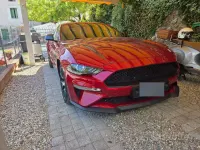 Usata Ford Mustang Fastback 291 CV (214 kW) 2020 Rosso Coupé