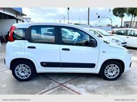 Usata Fiat Panda Easy 95 CV (69 kW) 2017 Bianco Berlina